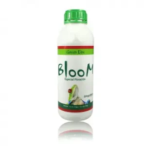 BLOOM GREEN LINE