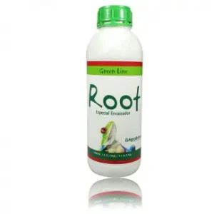 ROOT GREEN LINE