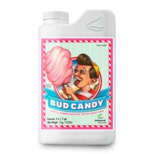 BUD CANDY
