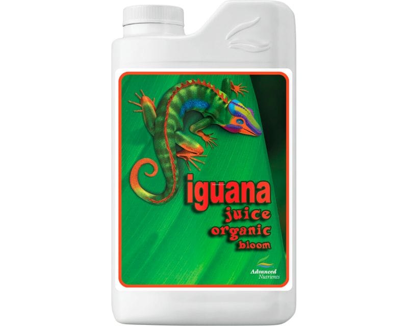 IGUANA JUICE ORGANIC BLOOM