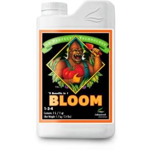 PH PERFECT BLOOM