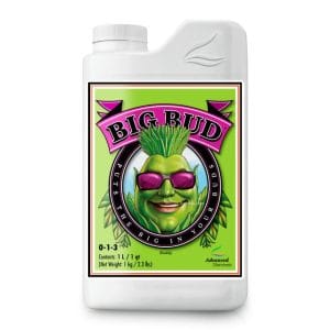 BIG BUD