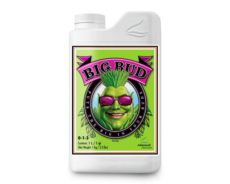 BIG BUD