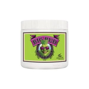 BIG BUD POWDER