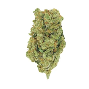 Amnesia HYPRO'S INDOOR PREMIUN