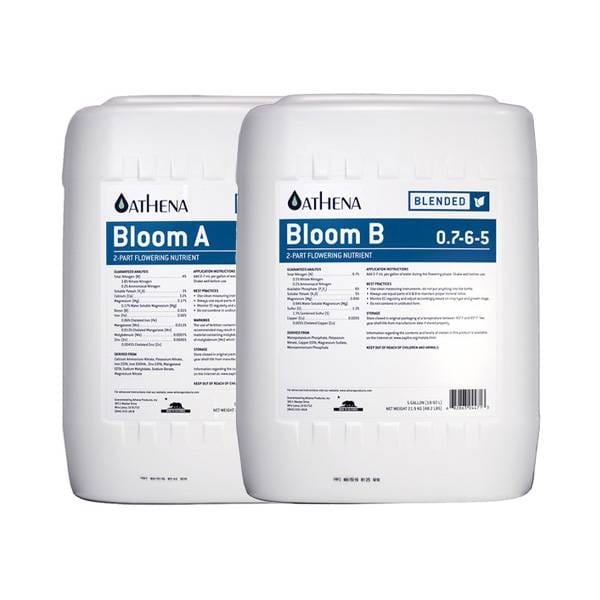 Bloom A + B - Imagen 2