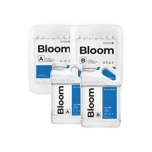 Bloom A + B
