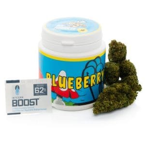 BLUEBERRY CBD