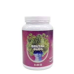 BRUTAL BUDS