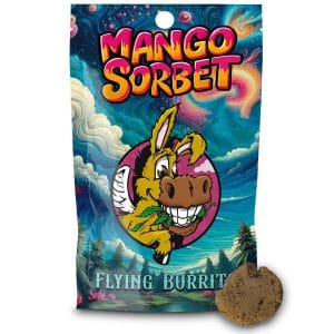 Mango Sorbet