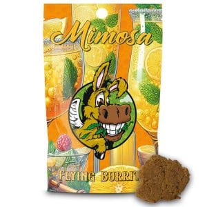 Mimosa