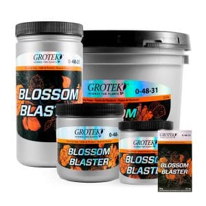 BLOSSOM BLASTER