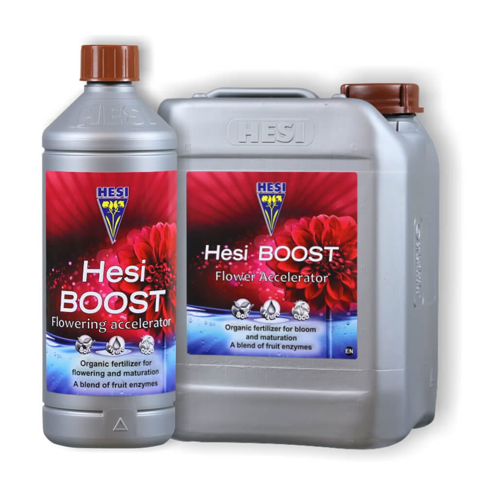 BOOST