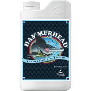 HAMMERHEAD