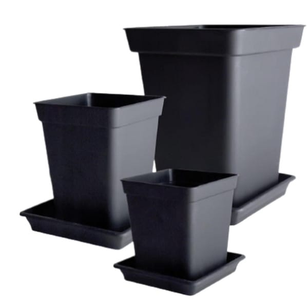 PLATO CUADRADO NEGRO - Imagen 3