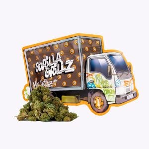 SMALL BUDS-CAMIÓN 25 G