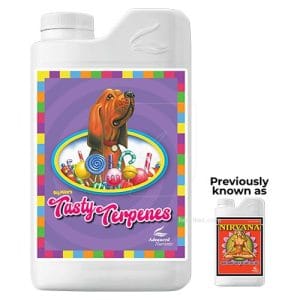 TASTY TERPENES (ANTES NIRVANA)